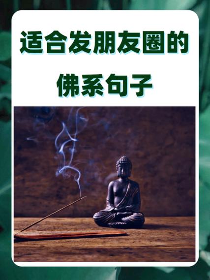 100个佛系短视频