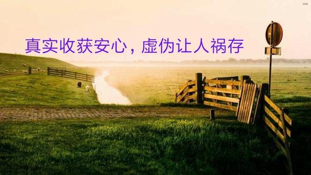 手机照片存哪里不会丢图标