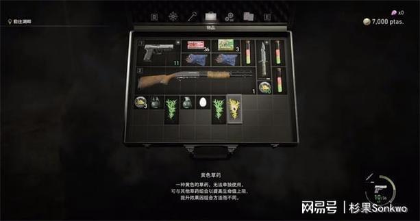 生化四无限子弹怎么解锁截图
