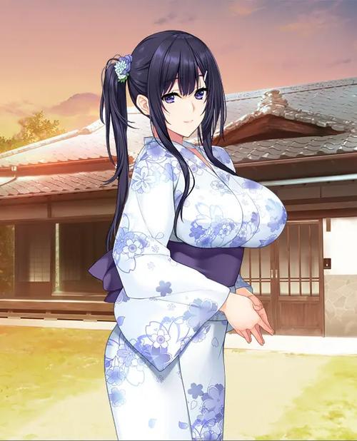 水莲与紫苑安卓汉化版说明