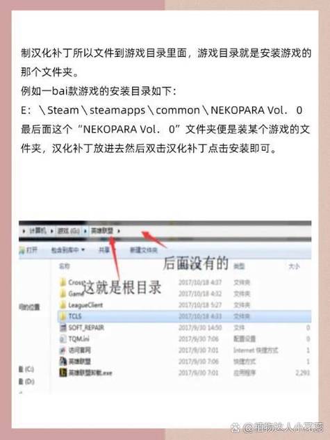 请将汉化补丁放到游戏目录下运行