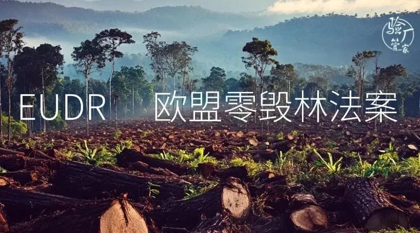 欧盟法案