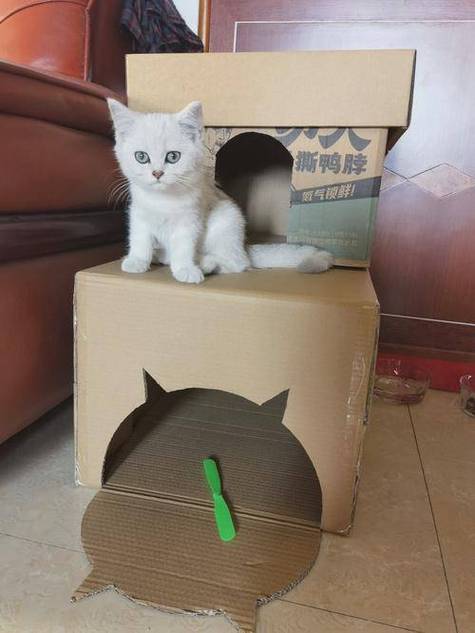 各种猫窝自制教程