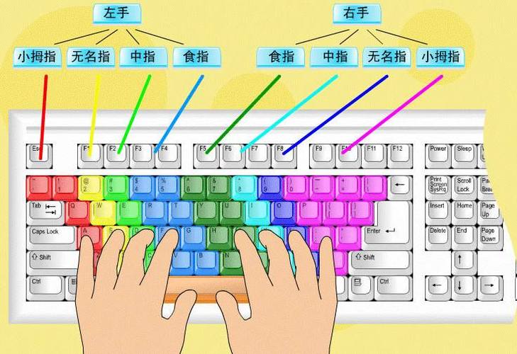 键盘的正确使用方法