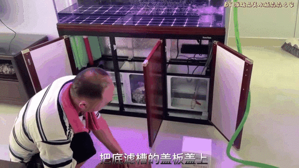 森森鱼缸上门维修