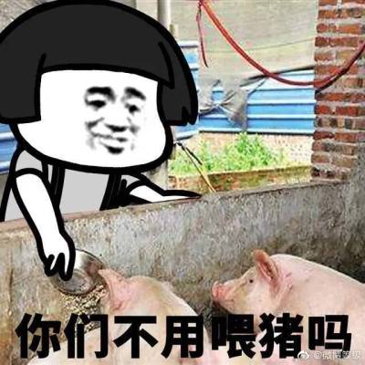 回家养猪表情包