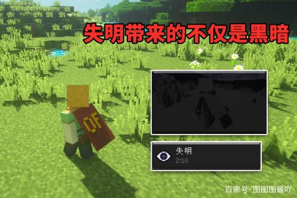 我的世界给予失明效果