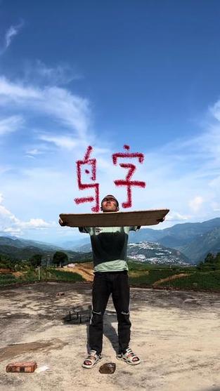 鸟字加一个偏旁图标