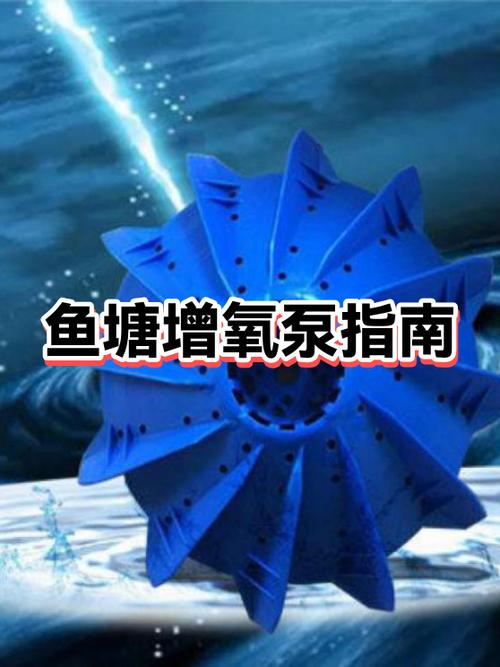 鱼塘什么时间段增氧最好?