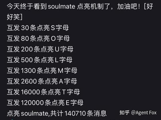 soul字母亮了是什么意思啊