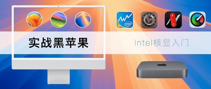 黑苹果可以只要核显吗
