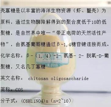 壳寡糖的功效与作用缩略图