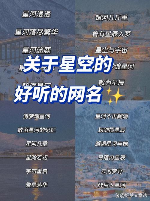 有个歌名叫什么星记缩略图