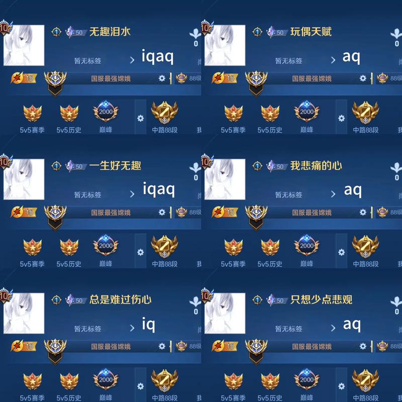 王者荣耀名字重复修改器缩略图