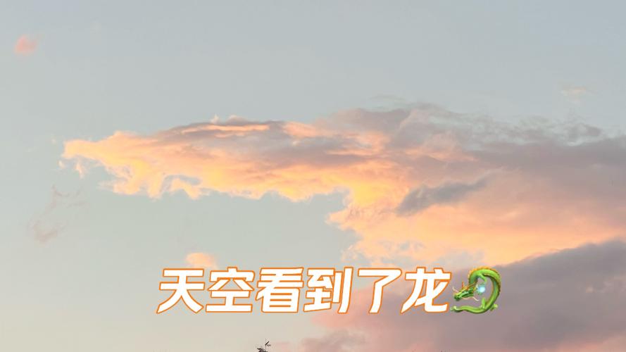 龙的天空百度贴吧