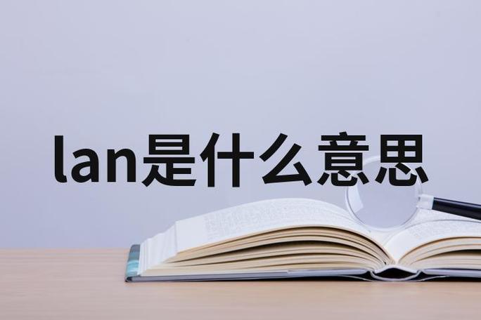lan是什么意思