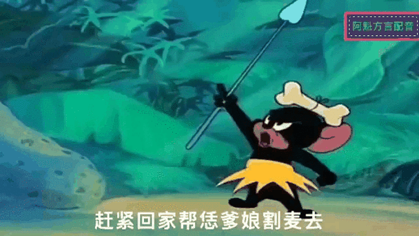 猫和老鼠国语版