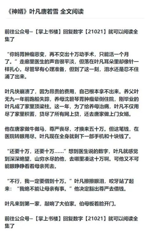 叶凡小说全集阅读图标
