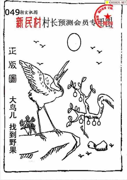 跑狗:观