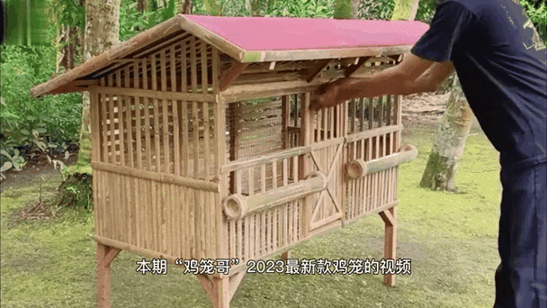 自制家用鸡笼视频