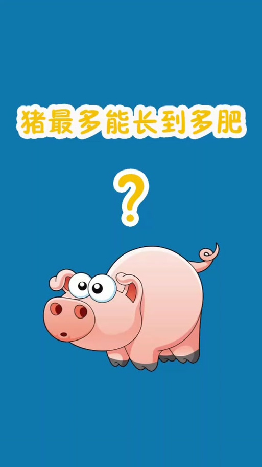 猪有多胖