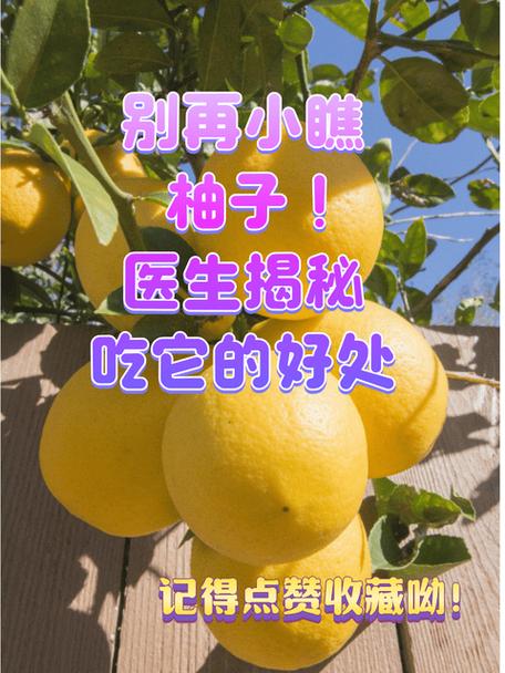 乳腺癌能吃红心柚子吗图标