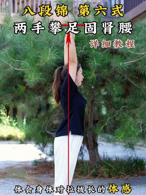 固肾腰