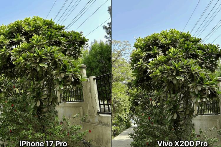 苹果跟vivo拍照对比