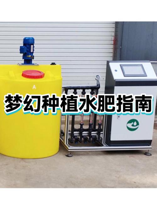 梦幻2级种子怎么浇水施肥