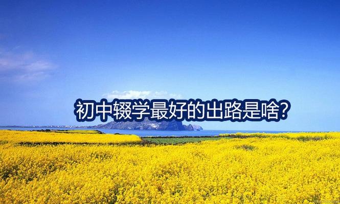 初中辍学最好的出路截图