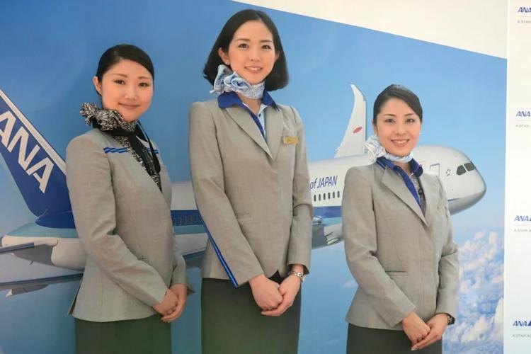 蓝航空乘小说截图