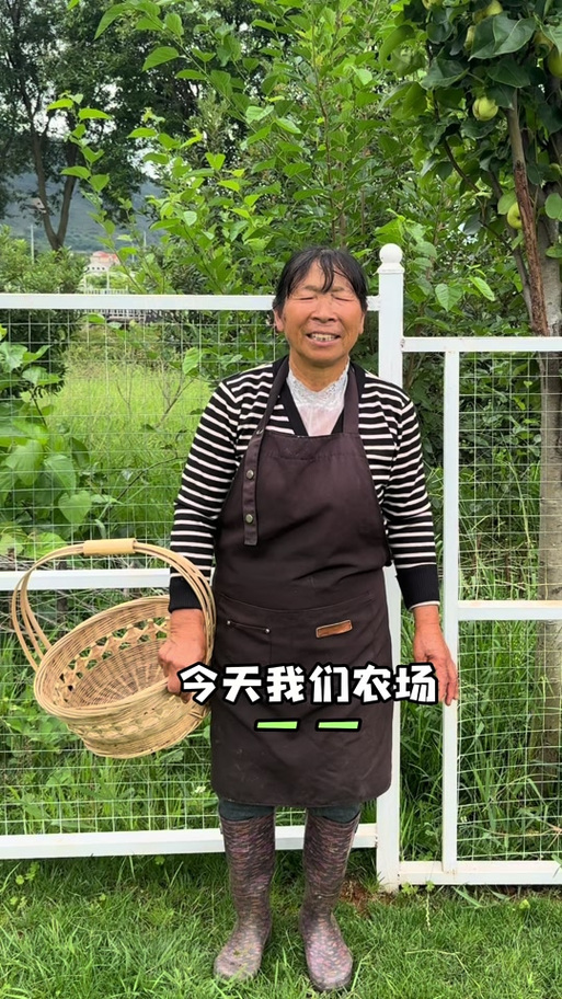 奶奶的小农场截图