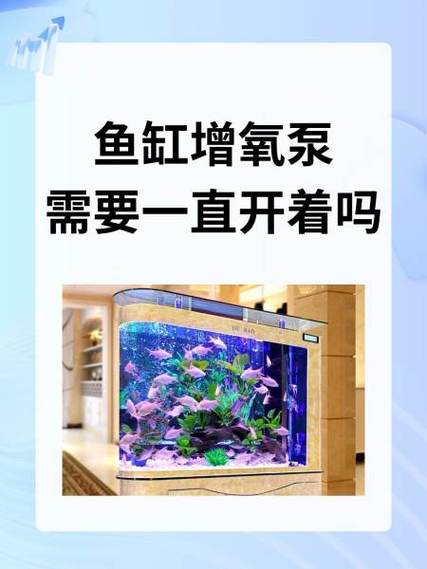 鱼缸增氧过滤泵需要一直开着吗