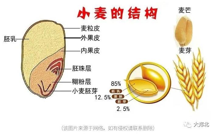 小麦怎么吃