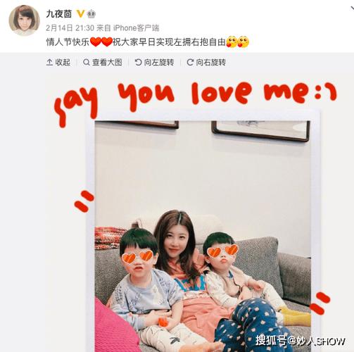 白狐的人生txt九夜茴