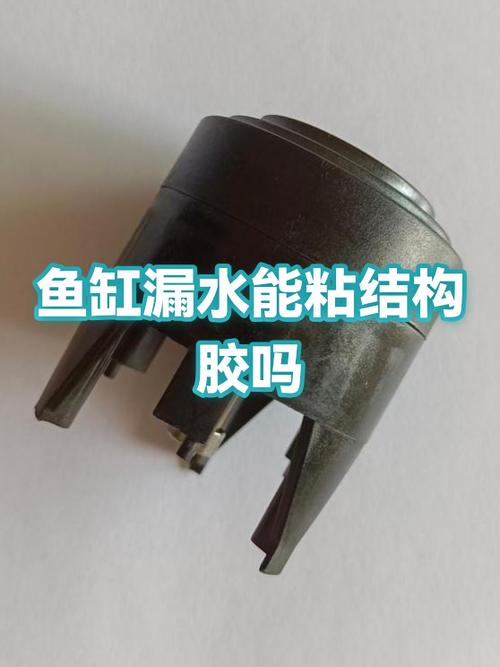 结构胶能不能粘鱼缸截图