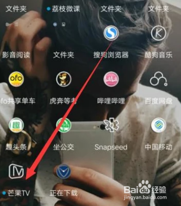 芒果tv的离线缓存怎么看不了缩略图
