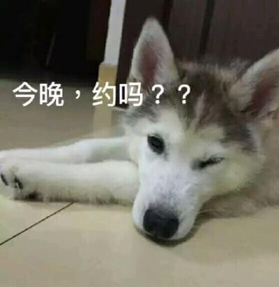约吗?
