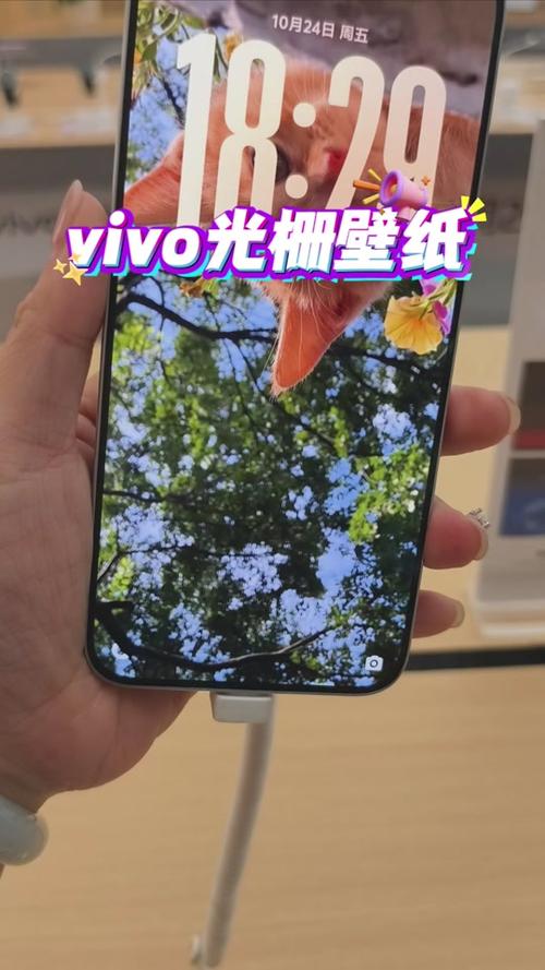 iqoo锁屏壁纸自动更换截图
