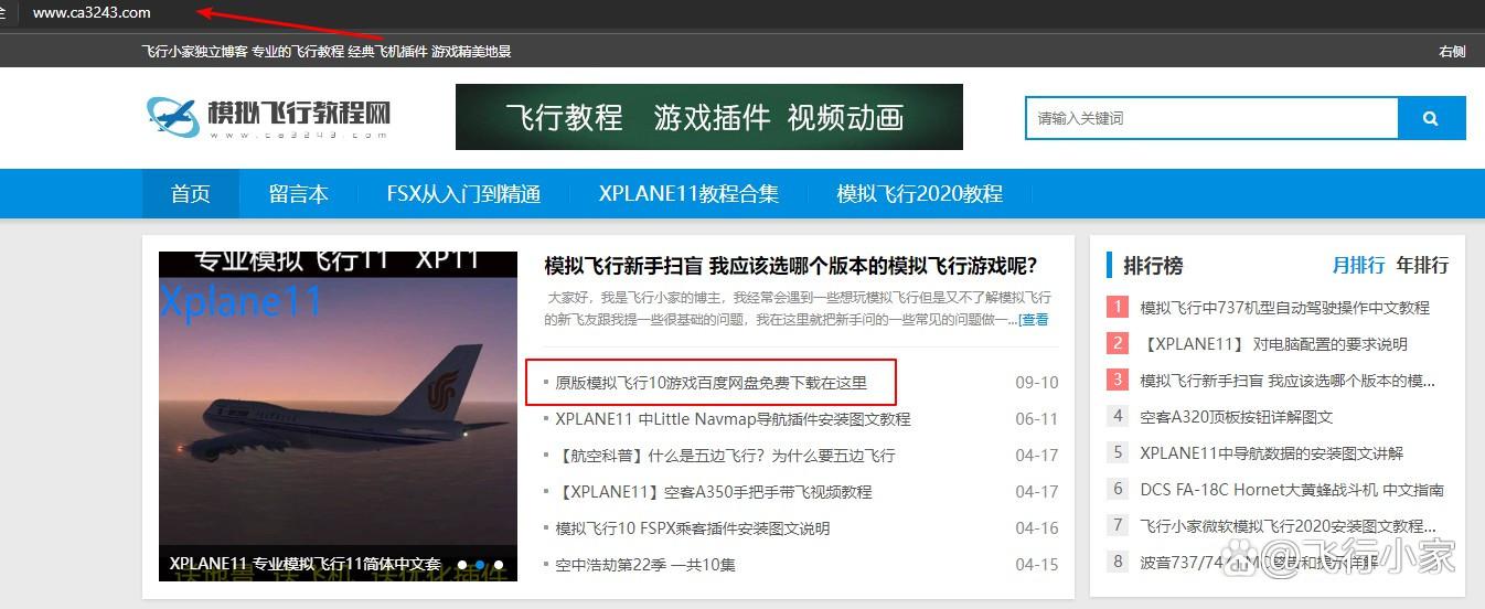专业模拟飞行10下载