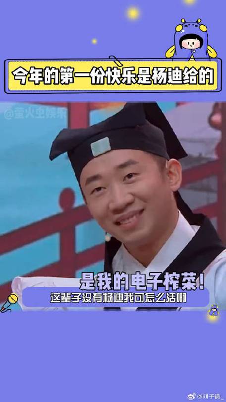 杨迪 岳云鹏 综艺图标