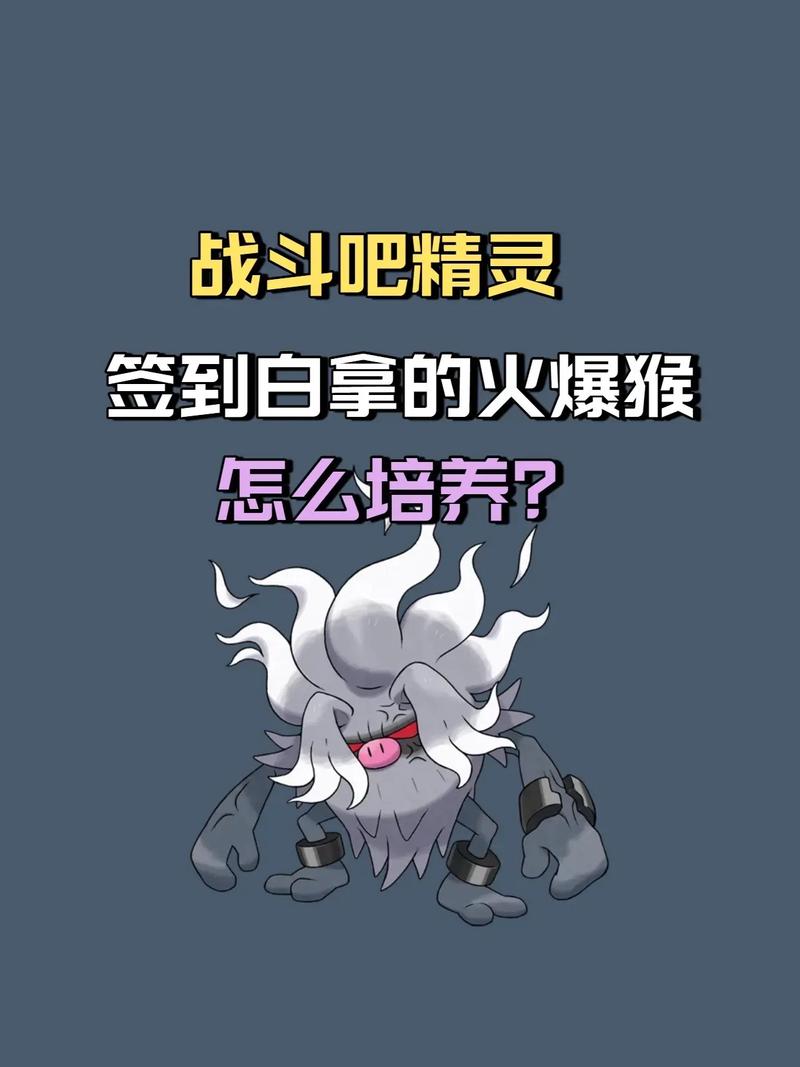 火爆猴值得练吗