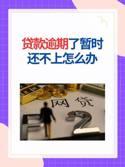 大地保险公司贷款还不上怎么办