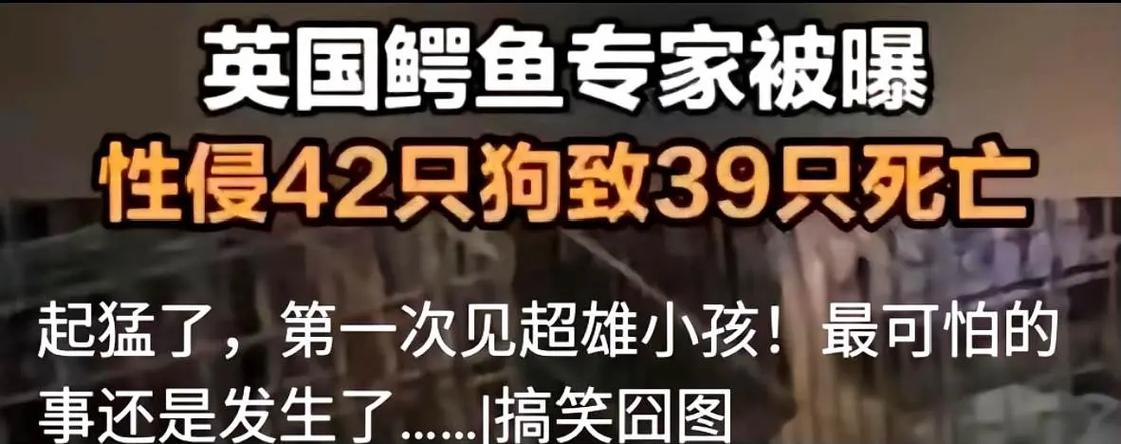 奇葩新闻合集