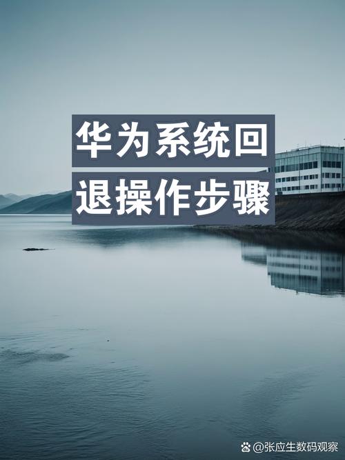 华为手机闪退回桌面截图