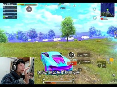 鲨鱼是前职业选手吗
