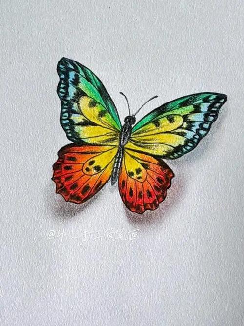 蝴蝶彩色画大全图片
