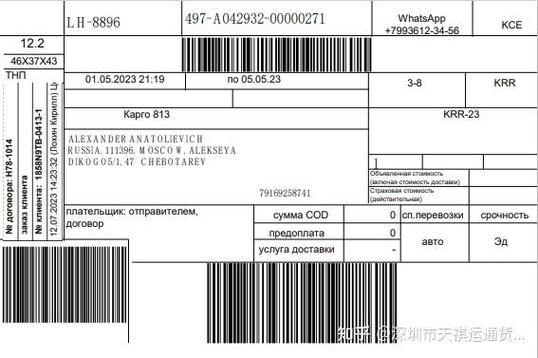 发俄罗斯的快递公司有哪些游戏截图