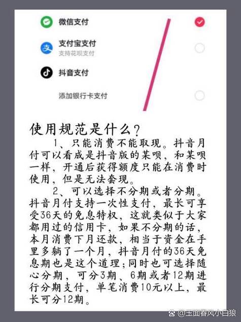 抖音月付怎样用支付宝还款截图