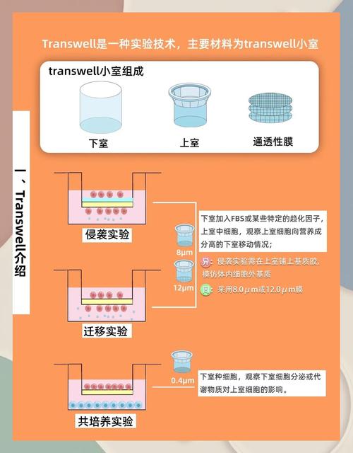 菲亚加压室最简单做法
